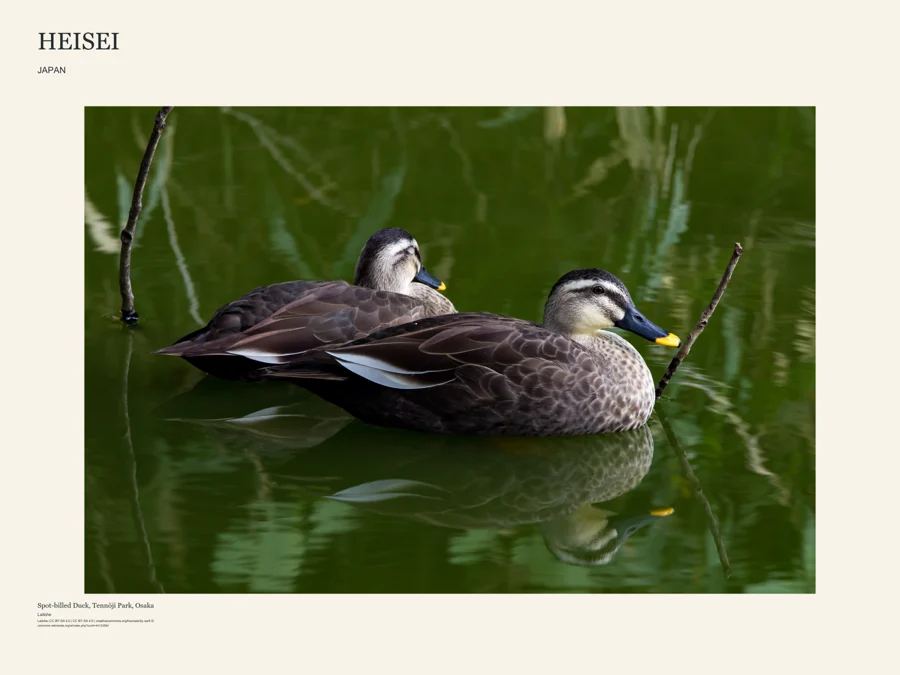 Heisei art poster design featuring Spot-billed Duck, Tennōji Park, Osaka